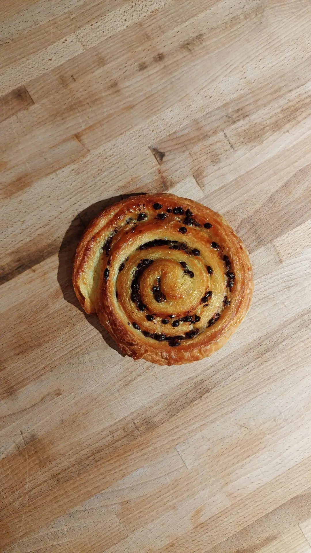 Ronde rozijn - cranberry spelt