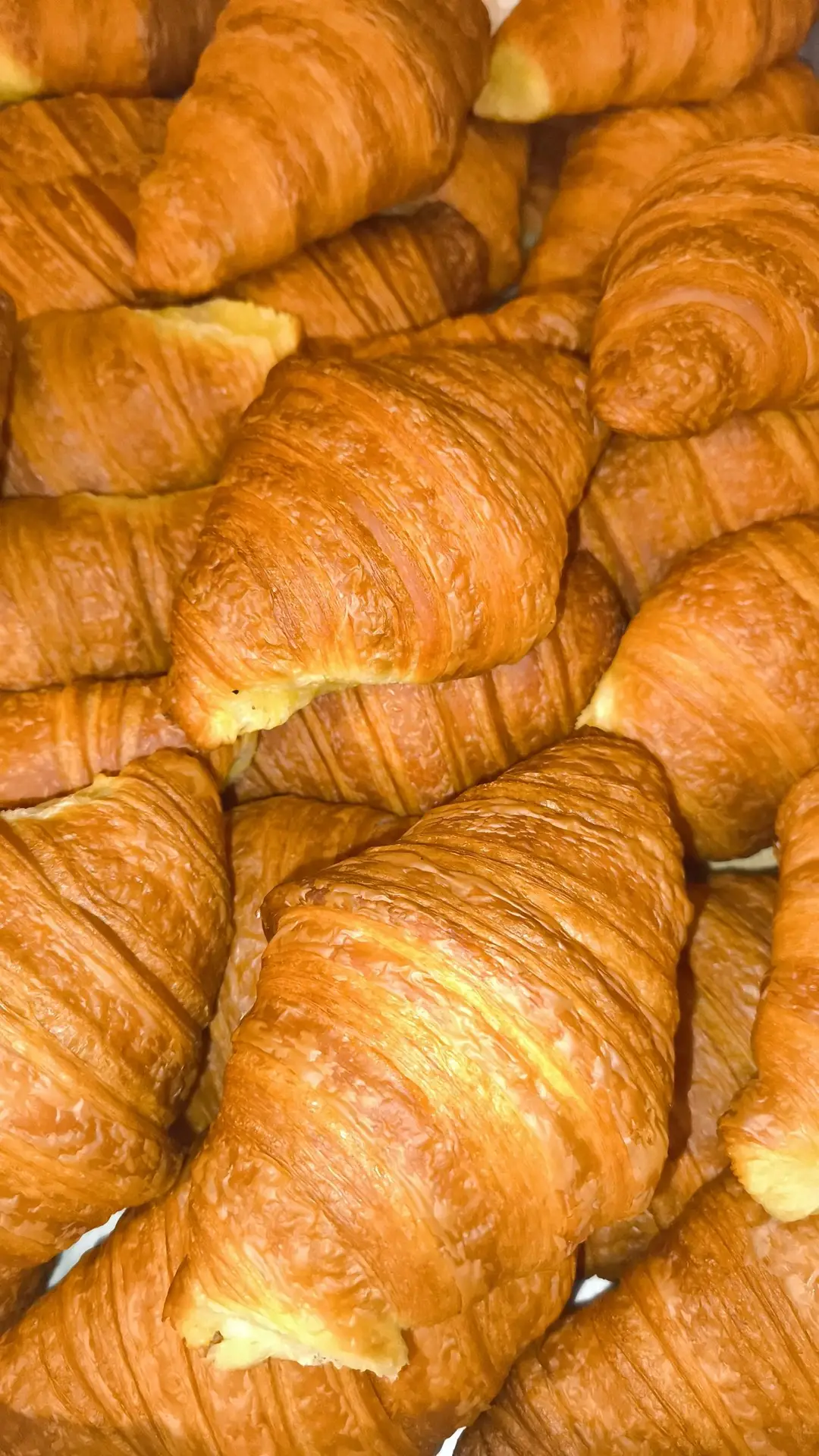 Versgebakken croissants met goudbruine lagen tijdens een croissants workshop bij Nona's Bakery