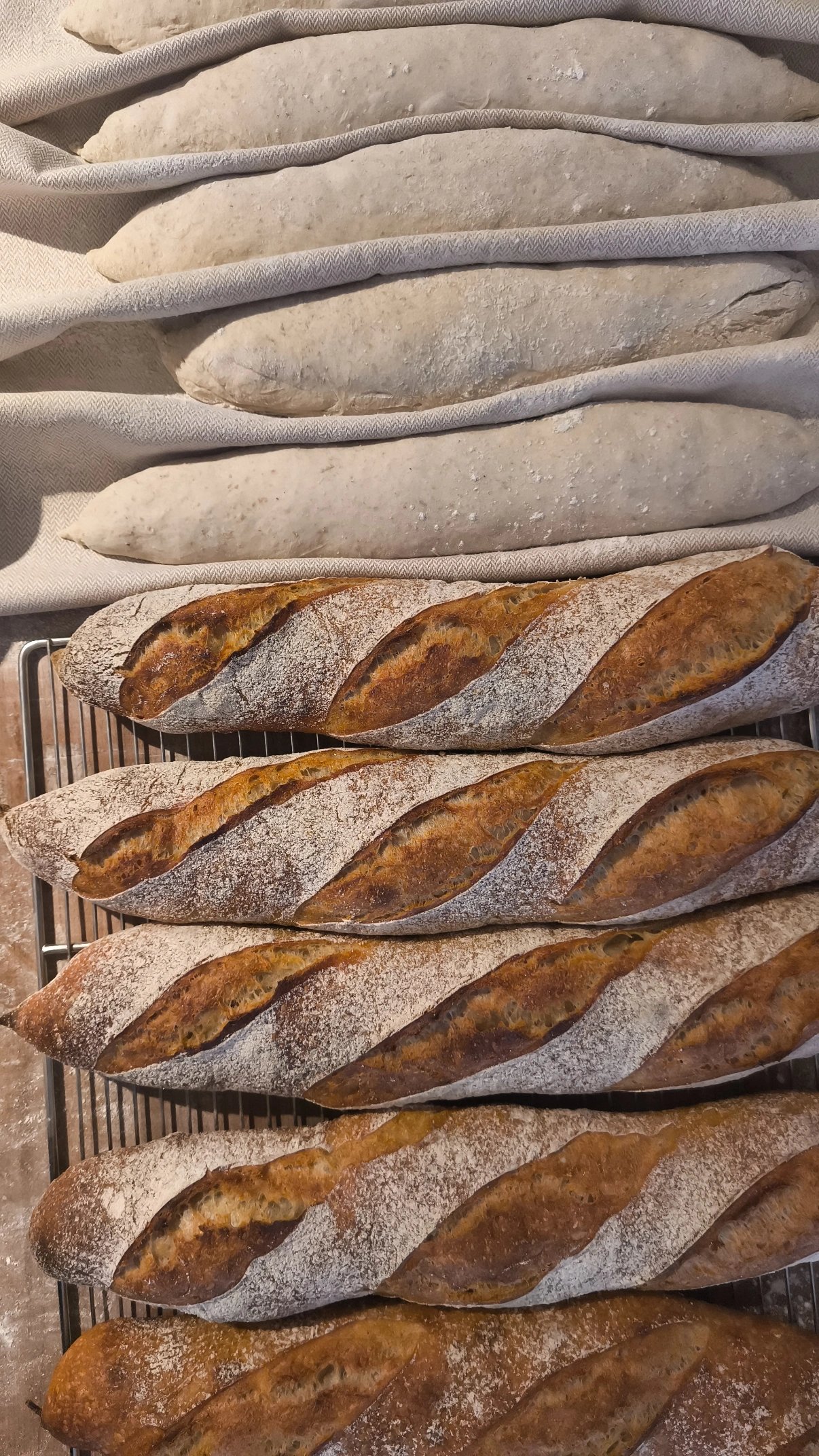 Zuurdesem baguette van 500g van Nona's Bakery, kraakvers gebakken